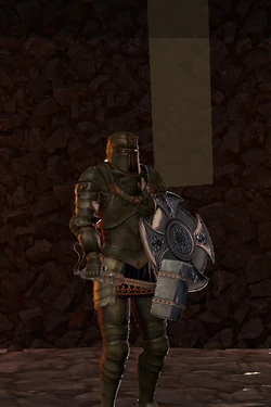 The Guardian: a knight in dark plate with a round shield and a warhammer.